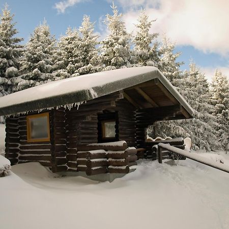Uriger Bocksbergblick Ferienpark Hahnenklee Goslar Exterior foto