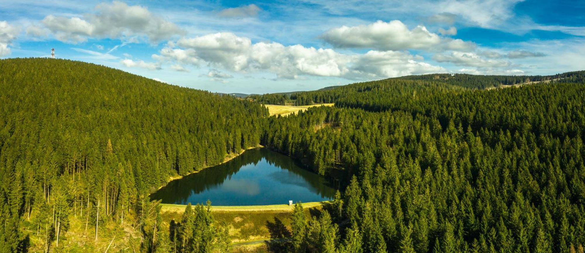 Uriger Bocksbergblick Ferienpark Hahnenklee Goslar Exterior foto