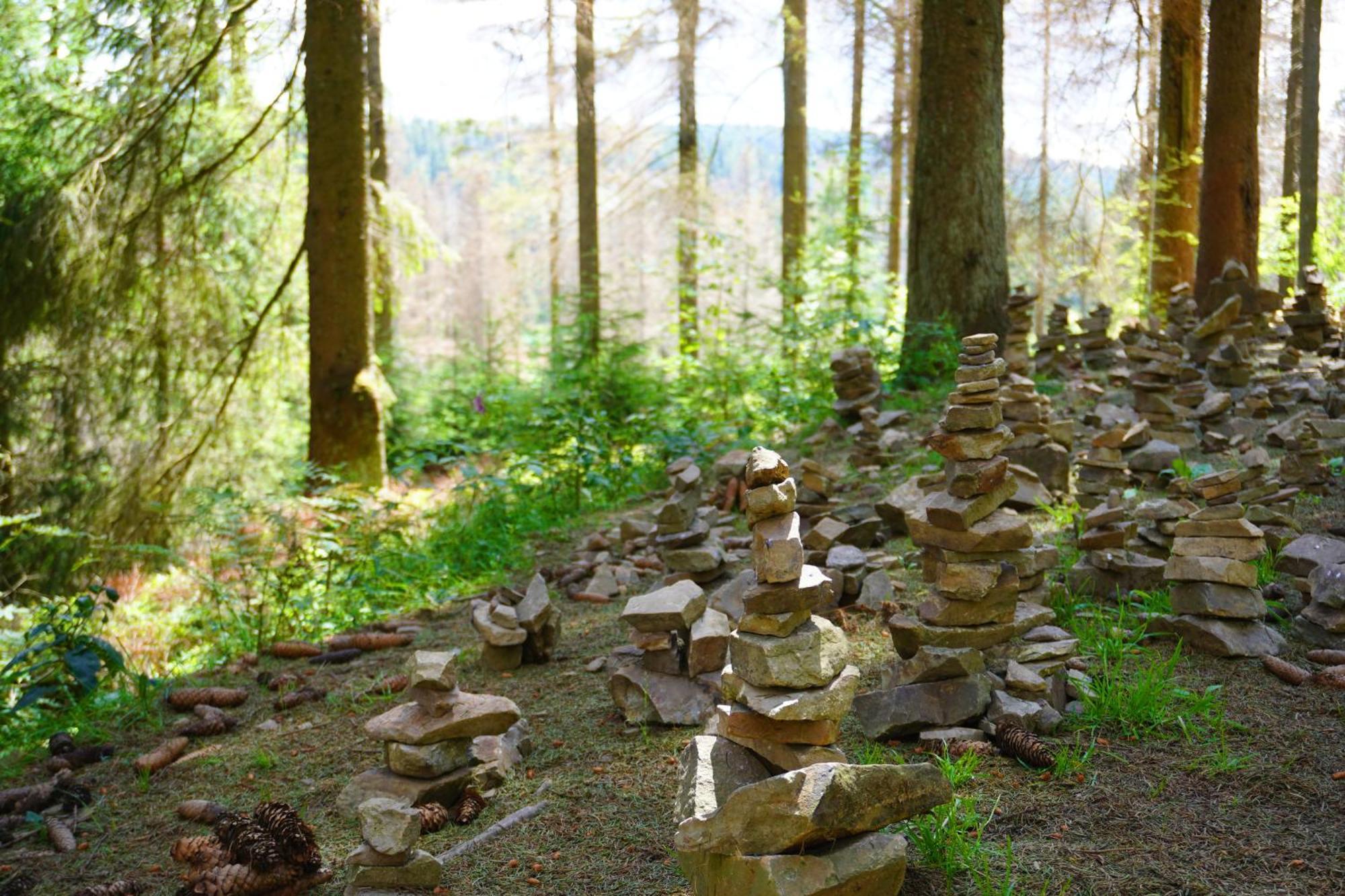 Uriger Bocksbergblick Ferienpark Hahnenklee Goslar Exterior foto